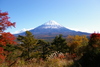 Mt. Fuji-Shizuoka Area Tourist Pass Mini 3 Days / Adult